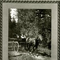 Walter Slee in buggy - from U of I