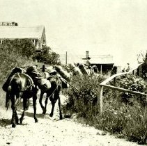 Pack train toward Northern Hotel - from U of I