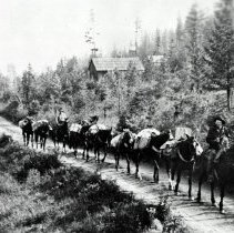 Pack train heading out of Coolin - from U of I