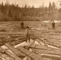 Log drive - from U of I