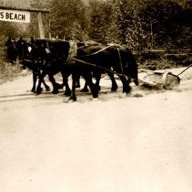 teams pulling sand - from U of I