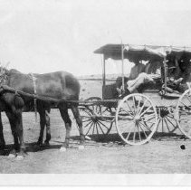 J.H. Averett with a mule team and buckboard