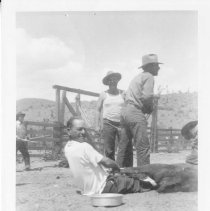 Cowboys branding cattle, OX Cattle Co., New York Range