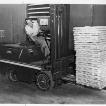 Woman on Fork Lift  -  BMI Series