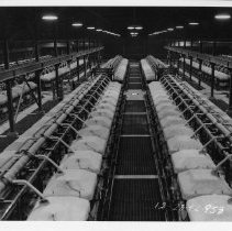 Cell Block, #958, BMI Magnesium Plant Site - BMI Series