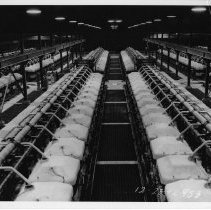 Rows of brick-clad cylinders at BMI