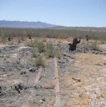 Remains of St. Thomas