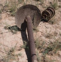 Remains of St. Thomas