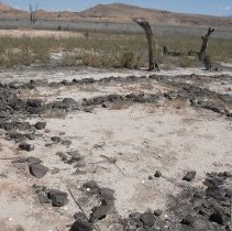 Remains of St. Thomas