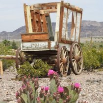 Grounds of the Clark County Museum