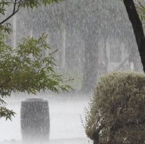 Monsoon rain at Clark County Museum