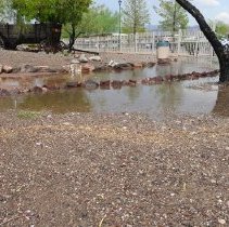 Monsoon rain at Clark County Museum