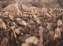 Welcome to the Commissioner