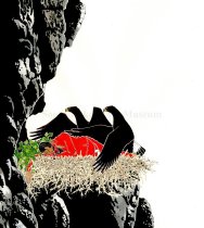 Adopted by the Eagles