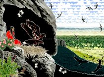 Adopted by the Eagles