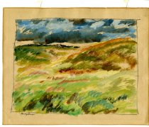 South Dakota Prairie Grass