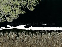 The Return of the Buffaloes