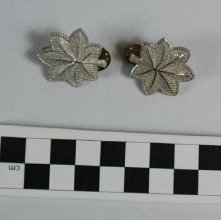 Lieutenant Colonel insignias