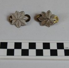 Lieutenant colonel insignia