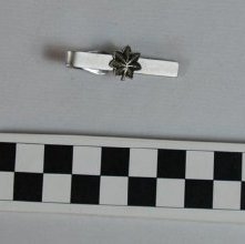 Lieutenant colonel tie clip