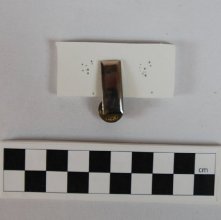 First Lieutenant's insignia