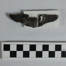 US Air Force pilot wings