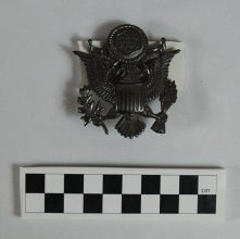 US Army cap insignia