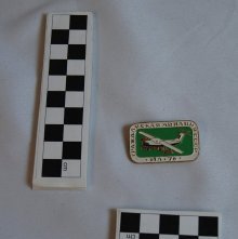 Soviet aviation pin