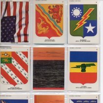 2007.23.1 (insignias)