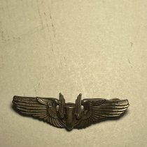 Aerial Gunner Wings