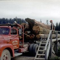 Scaling logs on truck