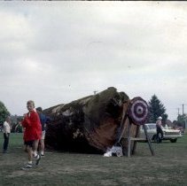 Axe throw target - Playday 65