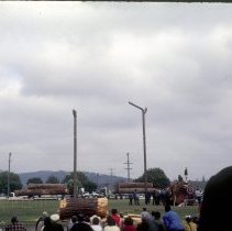 Tree topping - Playday 65