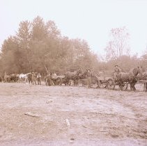 Horse Wagons & Crew (1)