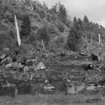 Site for Olympic Stadium