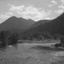 Probably N. Fork Quinault River