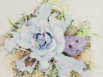 Flower Series #202 Star II - Electra's Finale