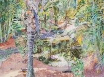 Flower Series #141 Microcosm Florida Landscape