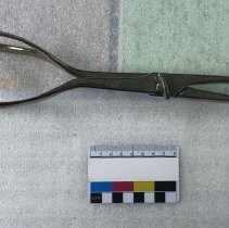 Dr. LaRue's Yarnall Forceps