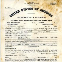 Declaration of Intention (Immigration), Giovanni Cavallari