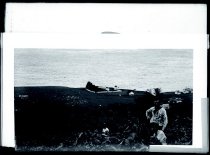 Three men on the heights overlooking Kalawao coastline, Kalawao, Molokai.