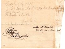 Ahahui Hooulu a Hoola Lahui (vol. 1, pg. 11)