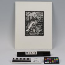 Le Chat et les Fleurs (The Cat and the Flowers)