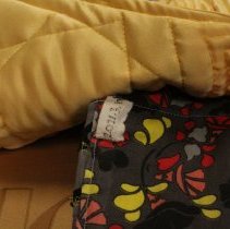 Suffrage in Southern Appalachia