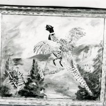 Pheasant