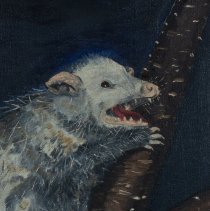 Opossum