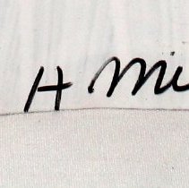 Angel (Pink, Yellow, Red)