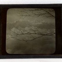 Transparency, Lantern Slide