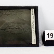 Transparency, Lantern Slide