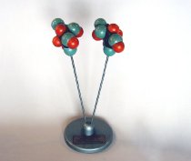 Model of Optical Isomers